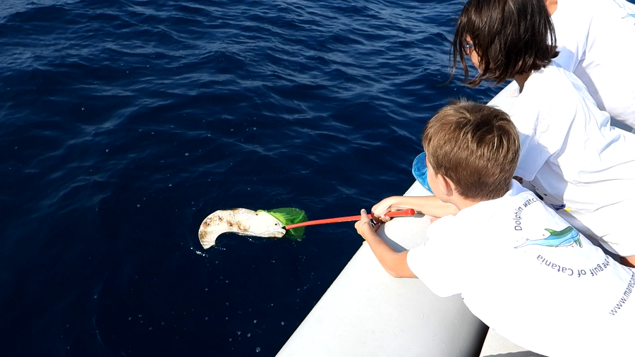 Marecamp sea cleanup