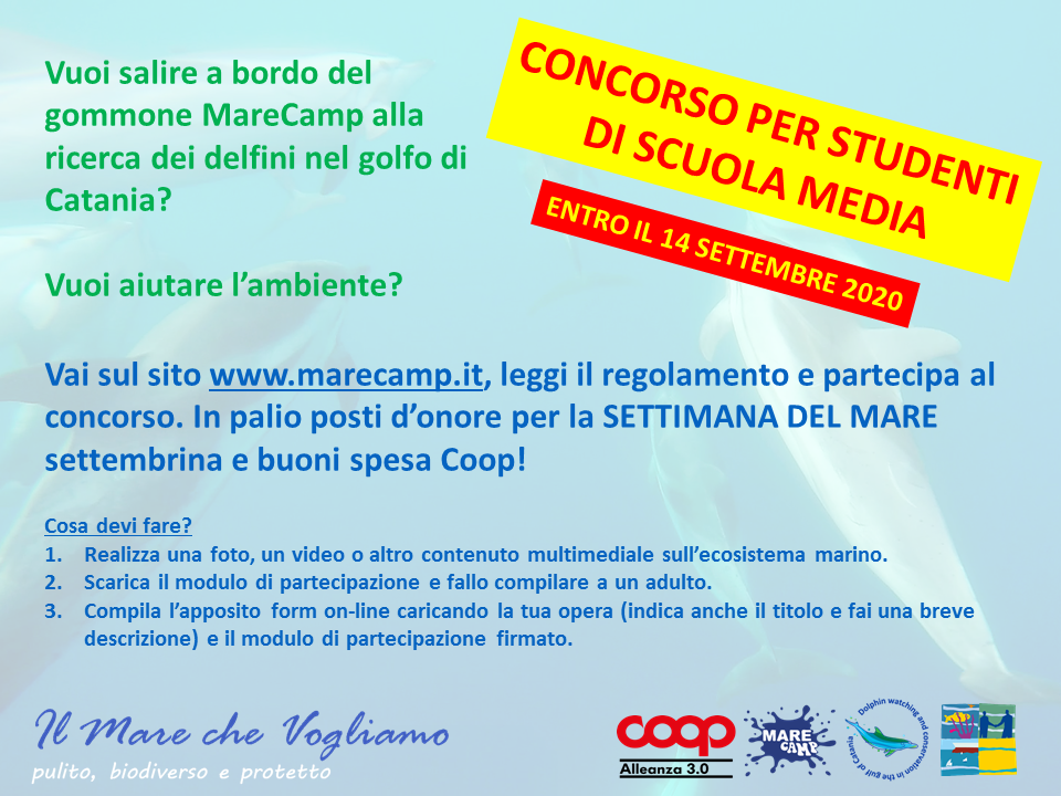 locandina concorso 2step