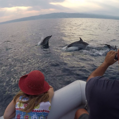 Osservazione delfini - Dolphin watching - Observation des dauphins