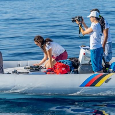 Ricerca in mare - Research at sea - Recherche en mer